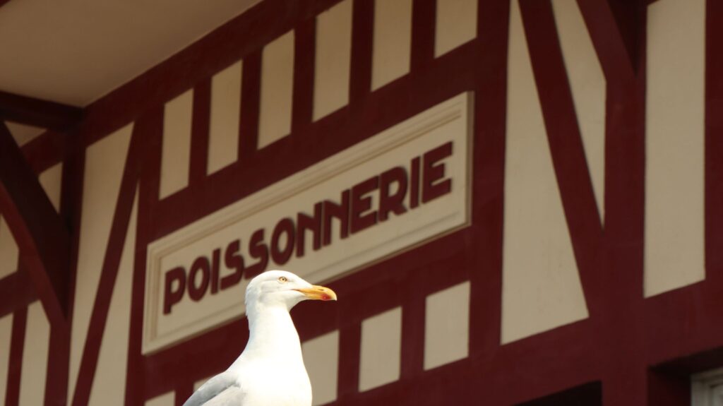230616_Trouville